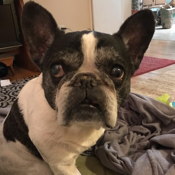 Meet your Posher, Debra - Picture 3 of 3